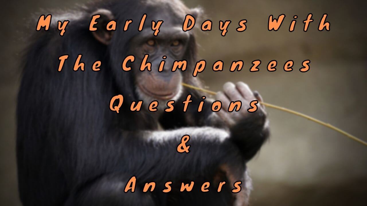 My Early Days With The Chimpanzees Questions & Answers