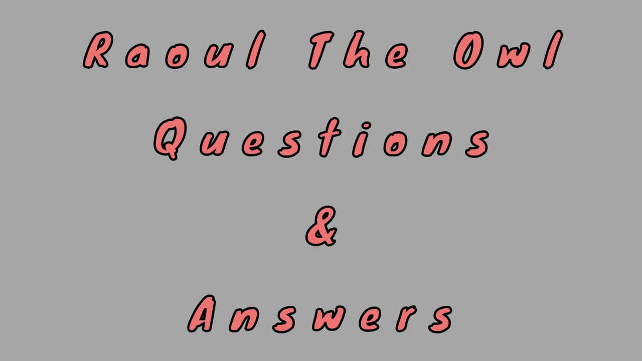 Raoul The Owl Questions & Answers