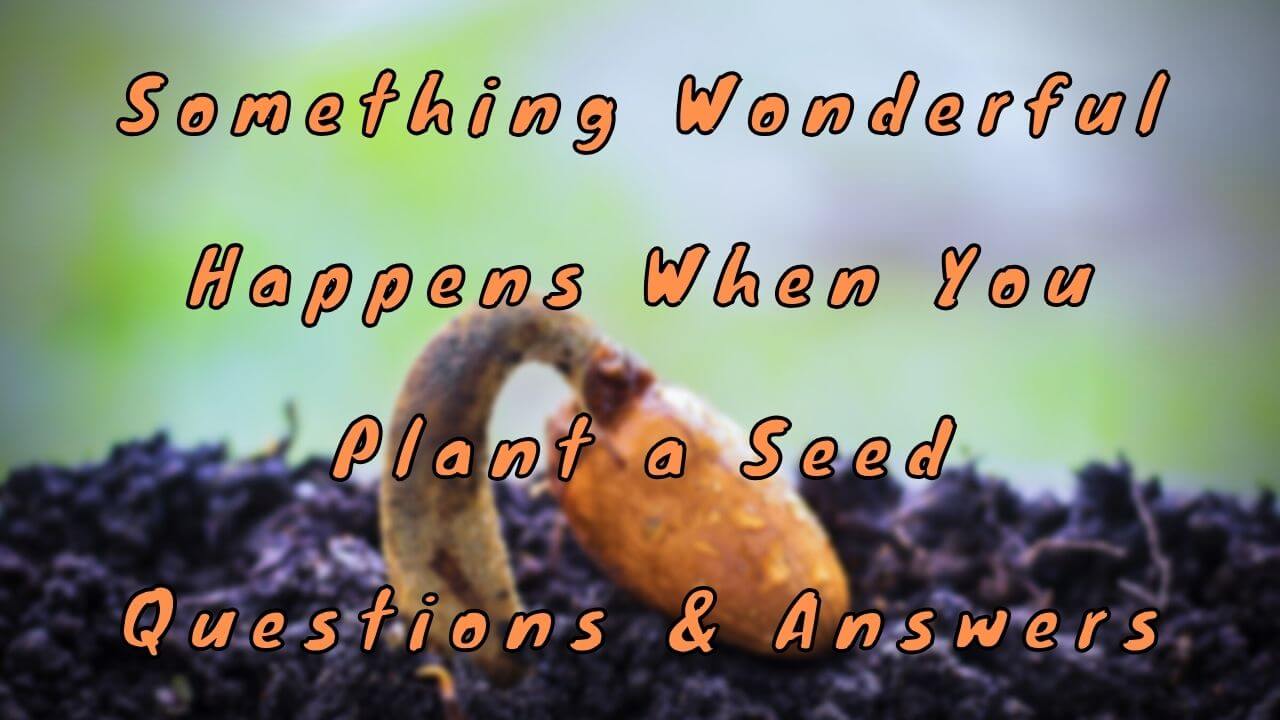 Something Wonderful Happens When You Plant a Seed Questions & Answers
