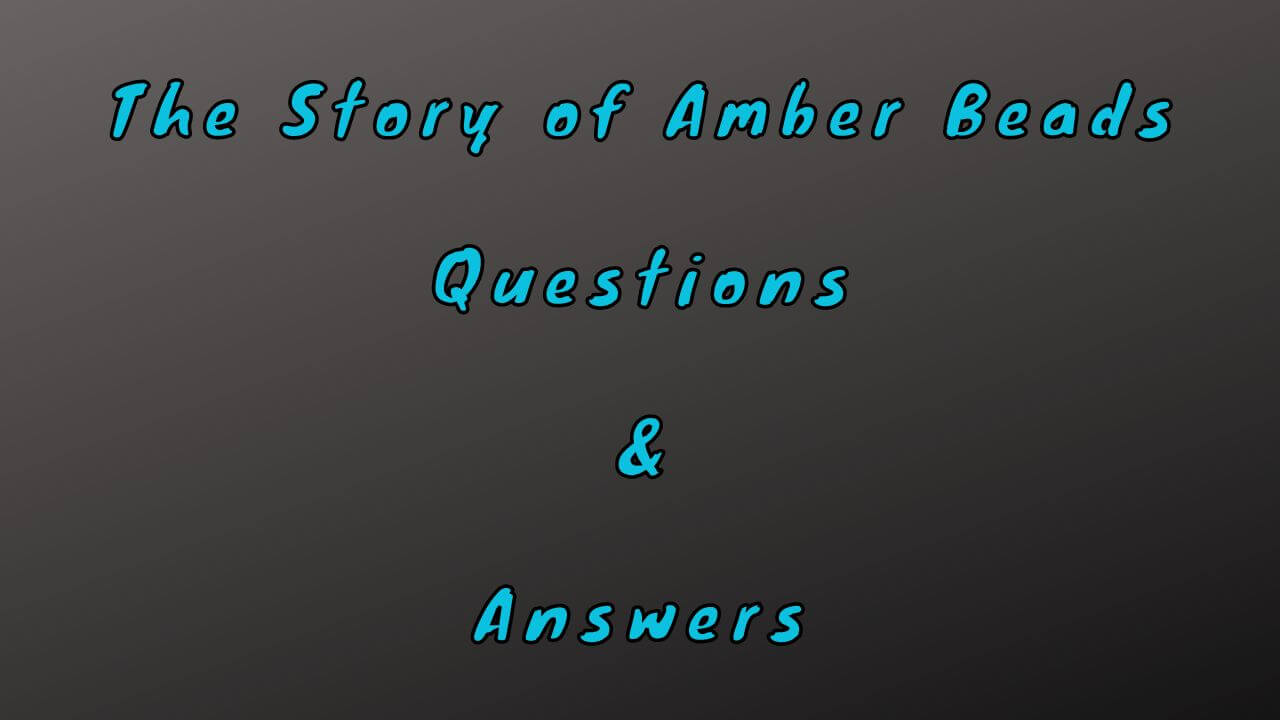 The Story of Amber Beads Questions & Answers