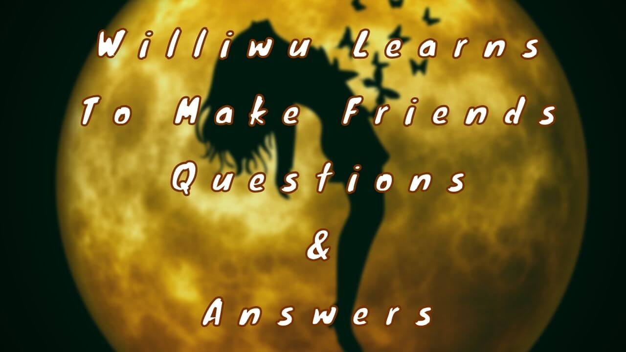 Williwu Learns To Make Friends Questions & Answers