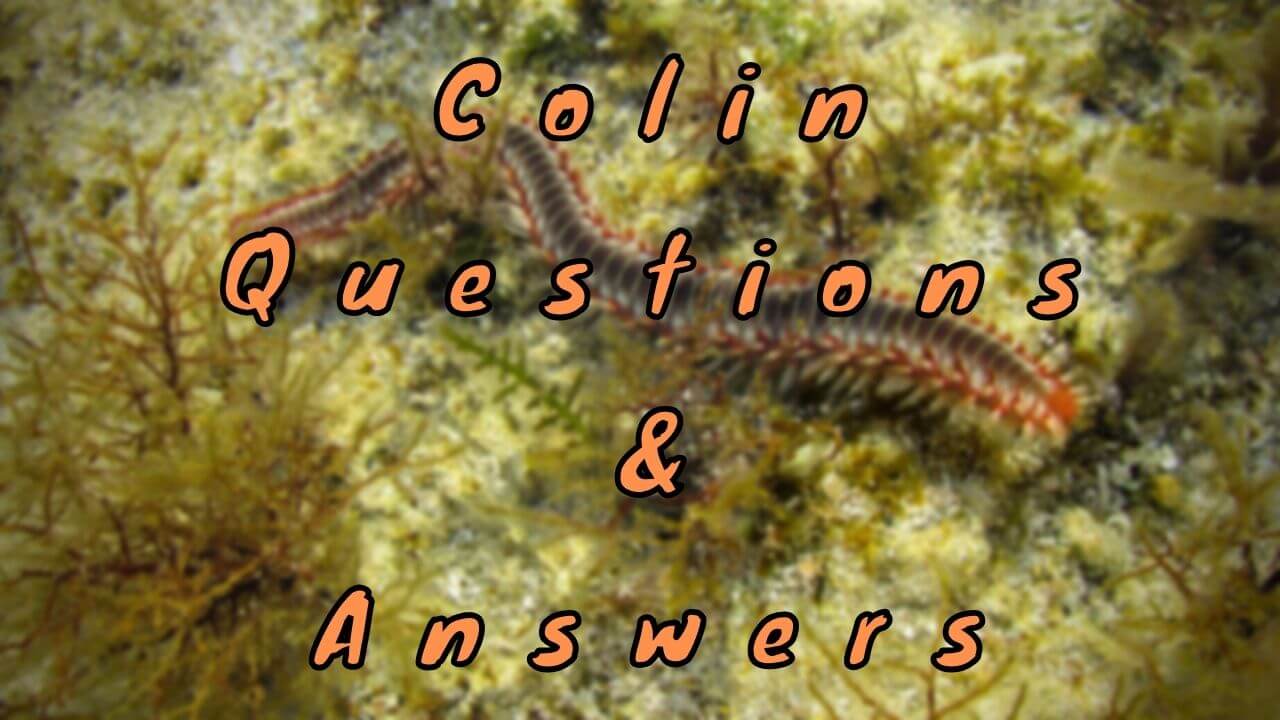 Colin Questions & Answers