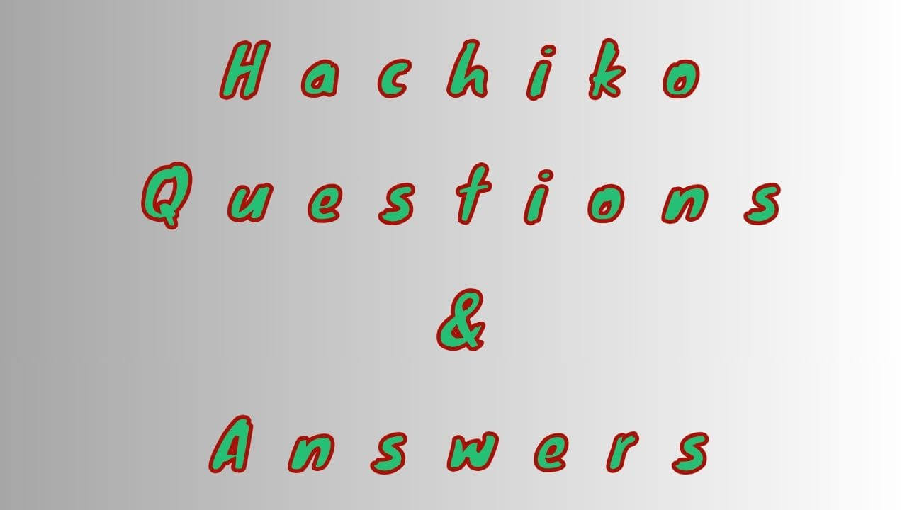 Hachiko Questions & Answers