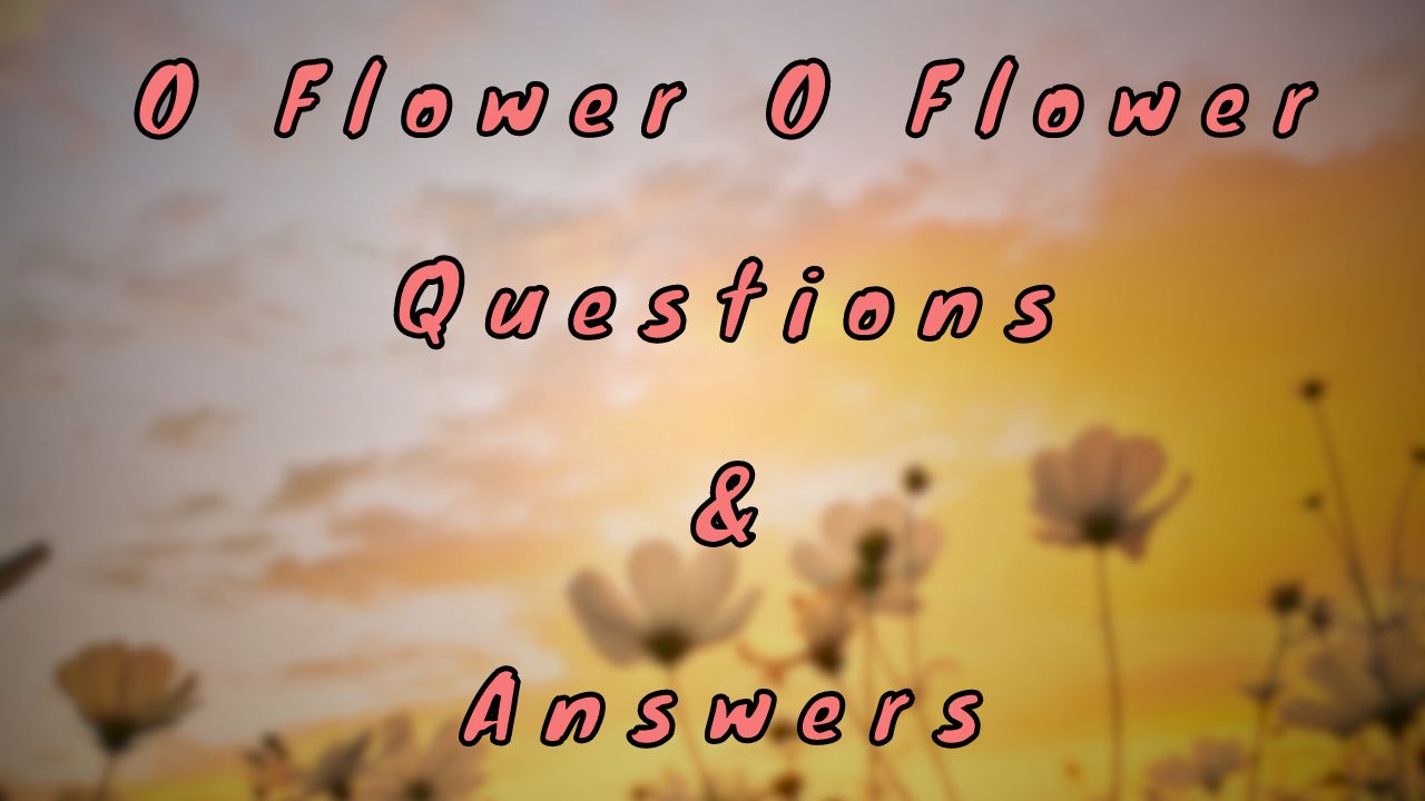 O Flower O Flower Questions & Answers
