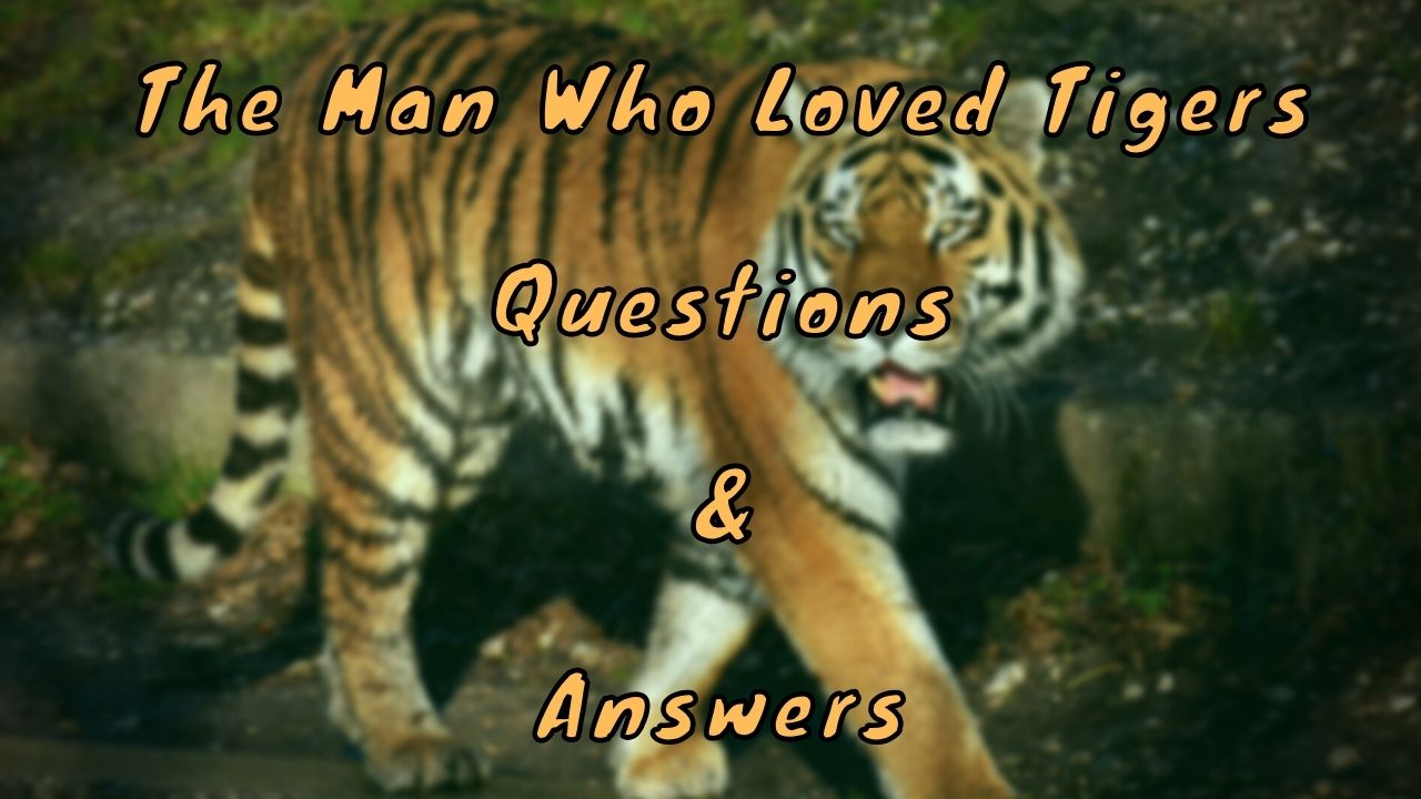 The Man Who Loved Tigers Questions & Answers