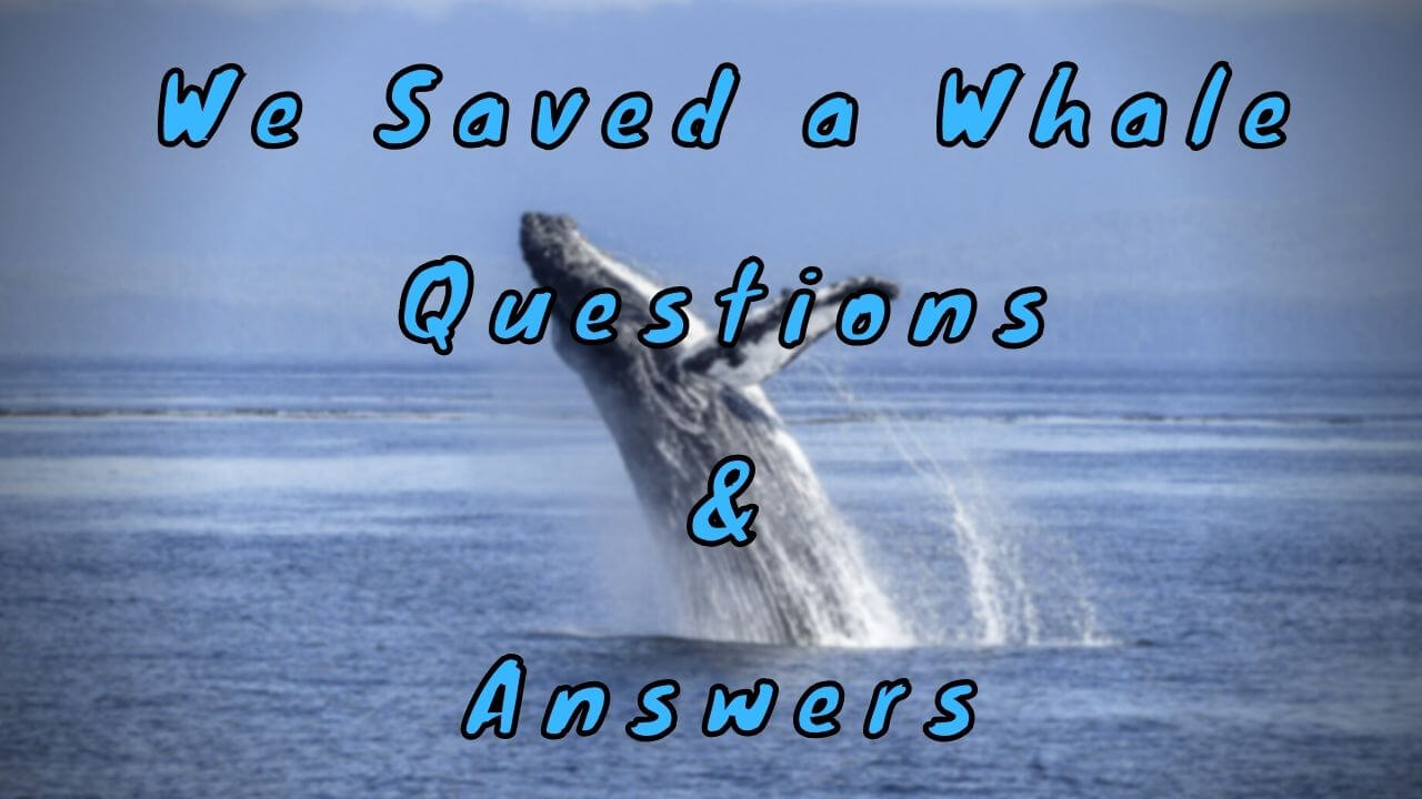 We Saved a Whale Questions & Answers
