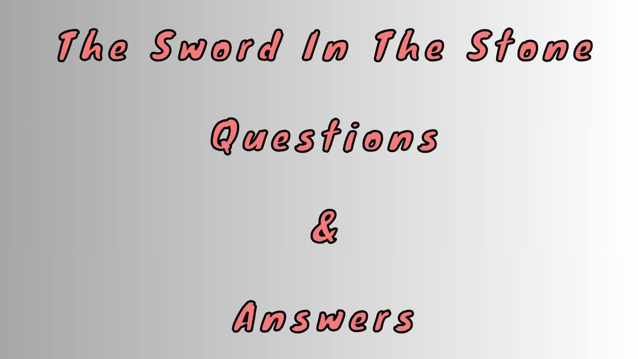 The Sword In The Stone Questions & Answers