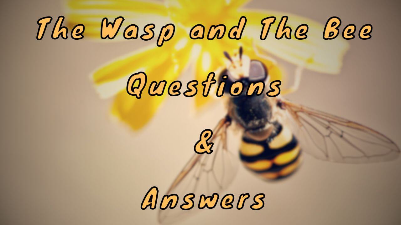 The Wasp and The Bee Questions & Answers