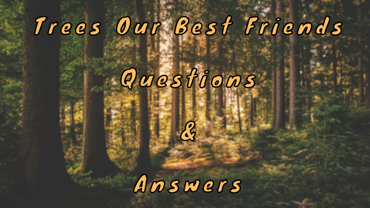 Trees Our Best Friends Questions & Answers