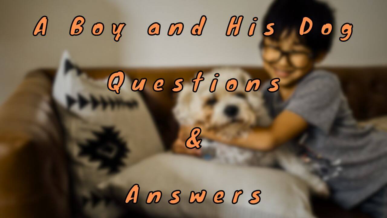 A Boy and His Dog Questions & Answers