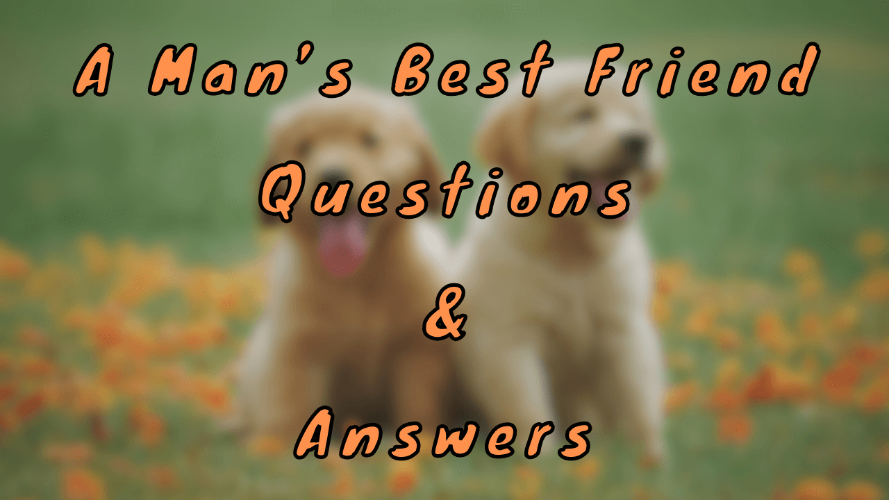 A Man’s Best Friend Questions & Answers