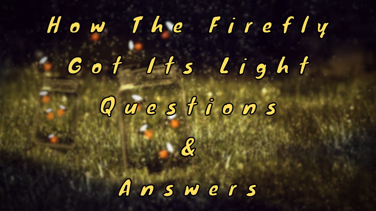 How The Firefly Got Its Light Questions & Answers