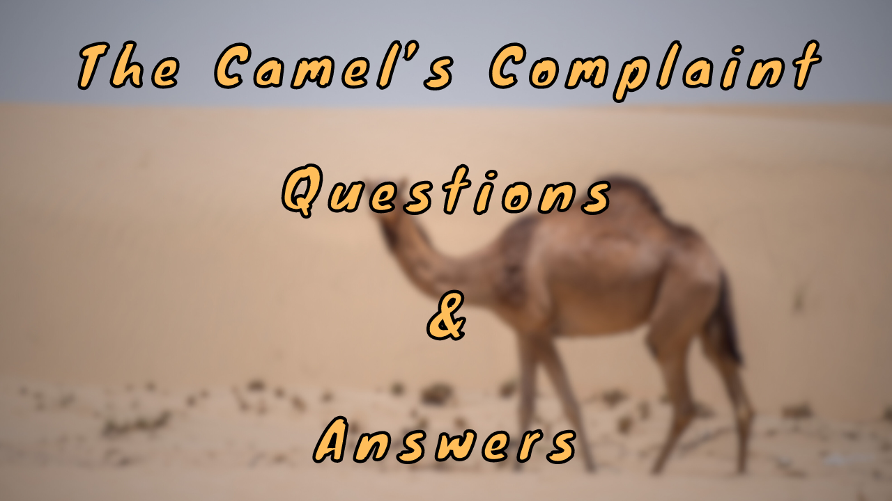 The Camel’s Complaint Questions & Answers