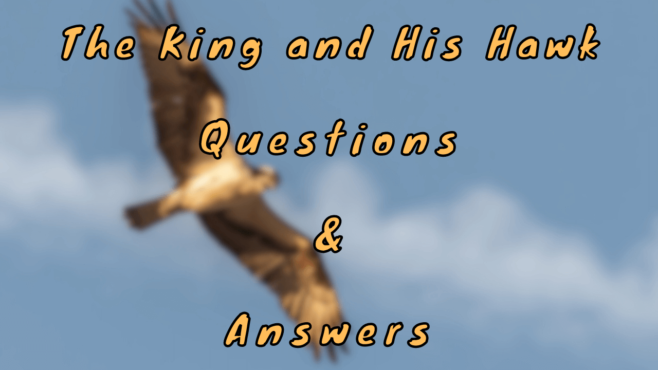 The King and His Hawk Questions & Answers