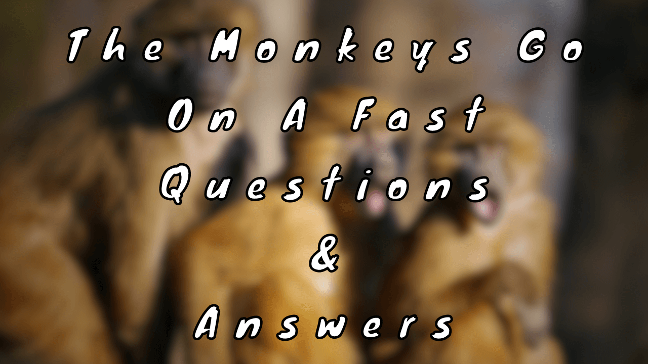 The Monkeys Go On A Fast Questions & Answers