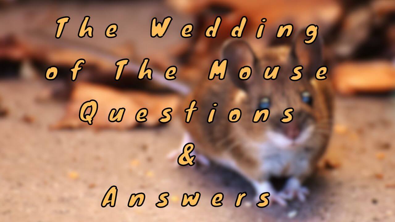 The Wedding of The Mouse Questions & Answers