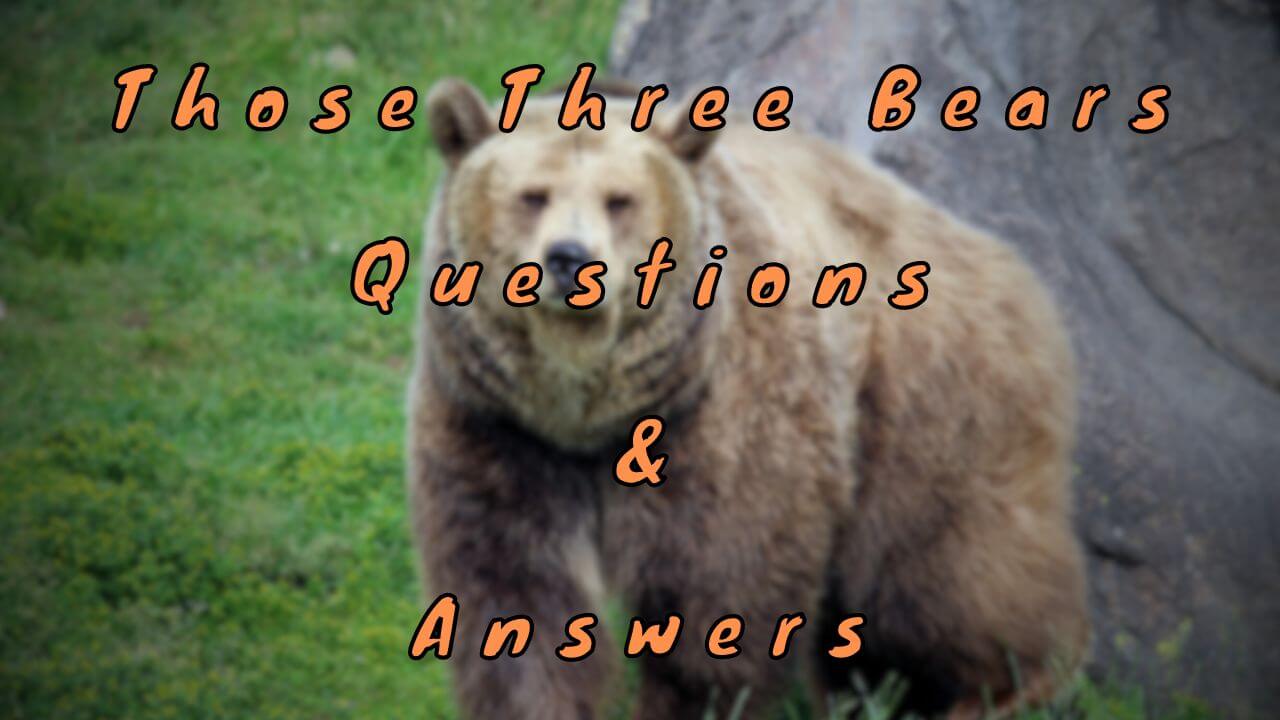 Those Three Bears Questions & Answers