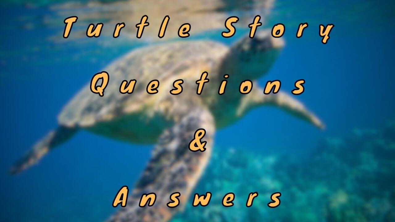 Turtle Story Questions & Answers