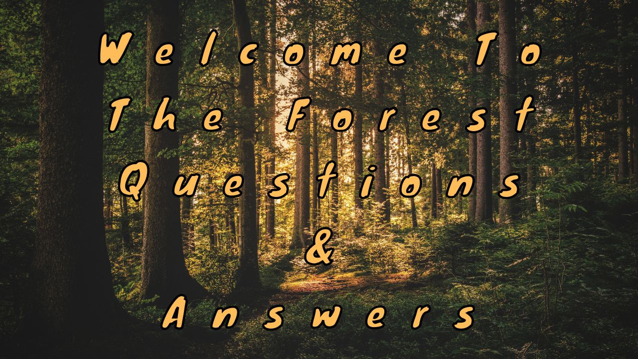 Welcome To The Forest Questions & Answers