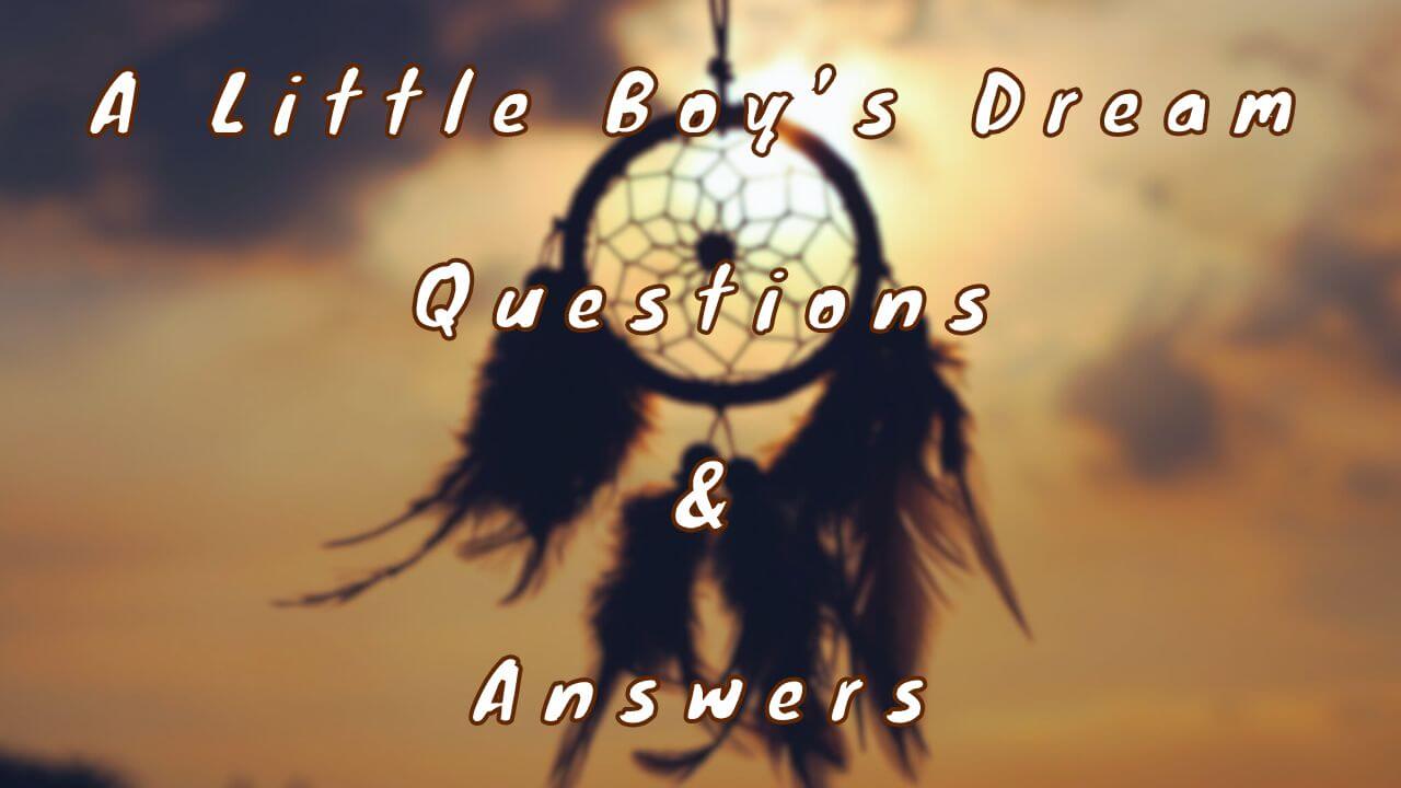 A Little Boy’s Dream Questions & Answers
