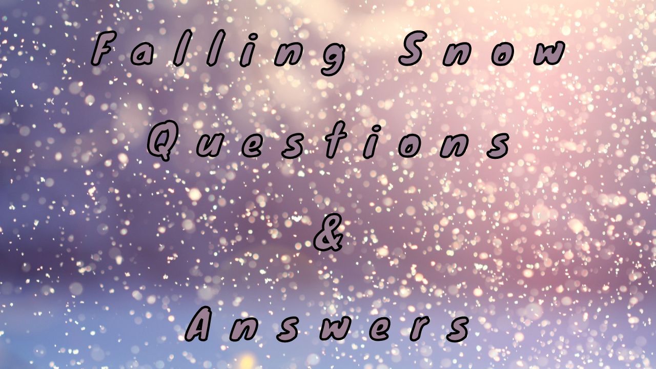 Falling Snow Questions & Answers