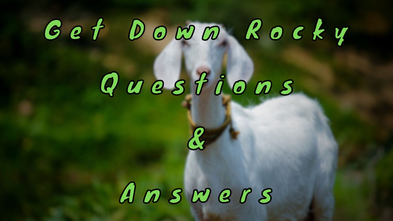 Get Down Rocky Questions & Answers