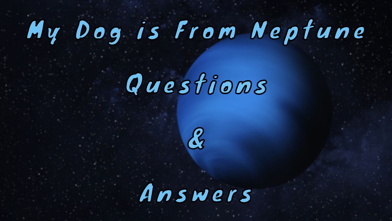 My Dog is From Neptune Questions & Answers