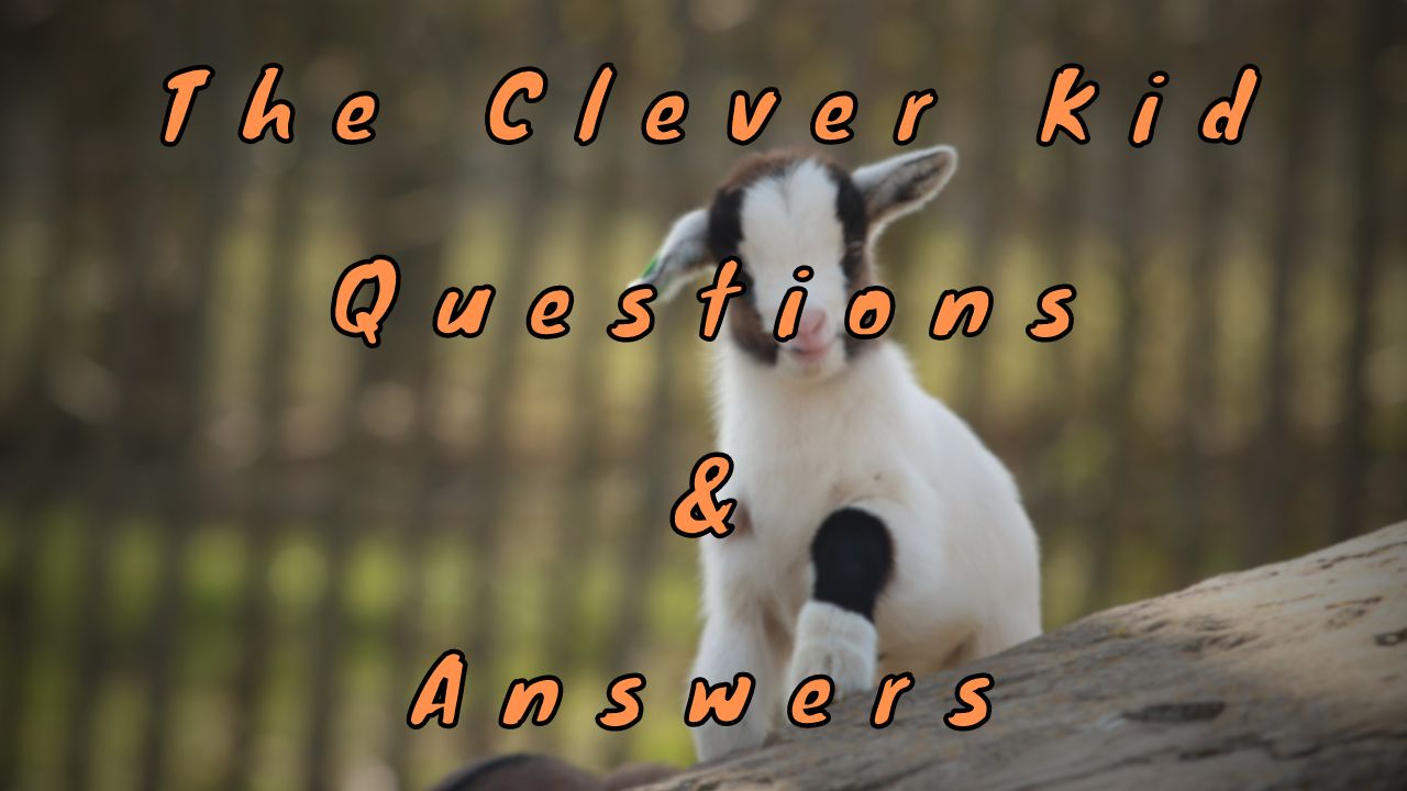 The Clever Kid Questions & Answers