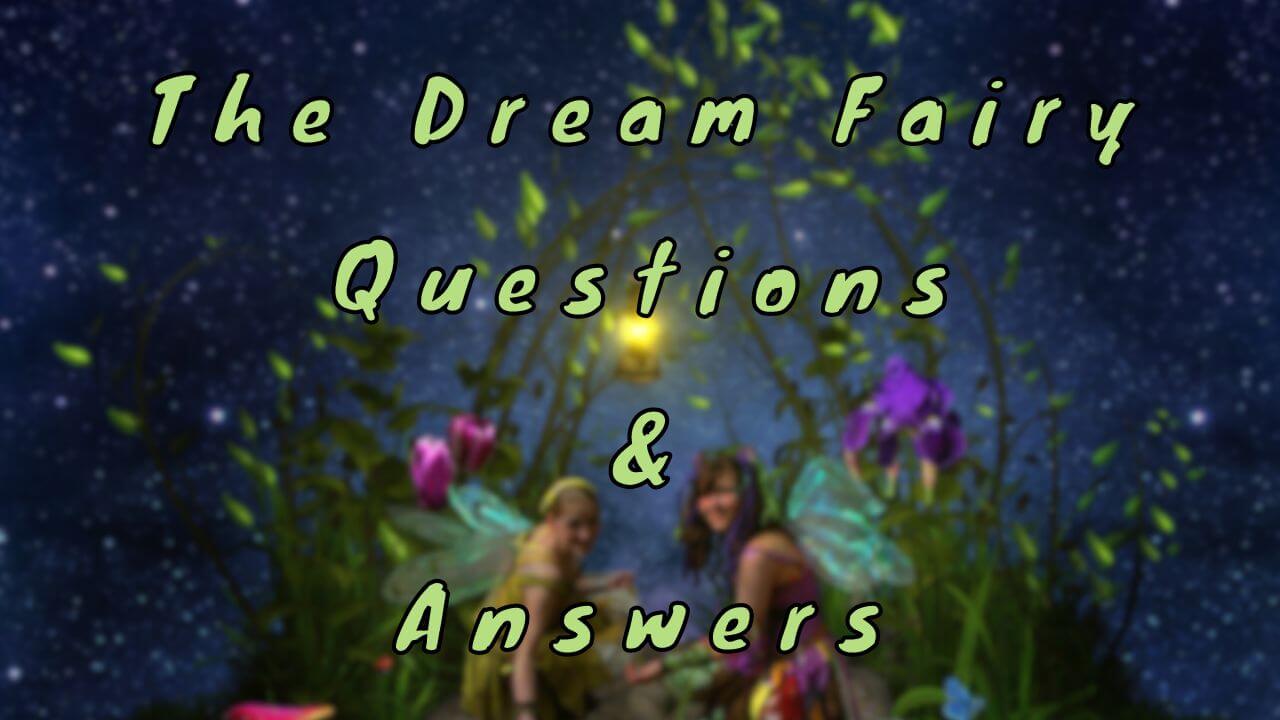 The Dream Fairy Questions & Answers