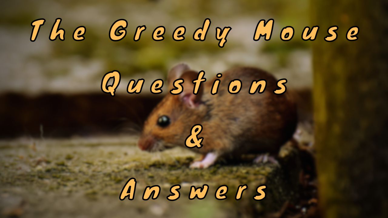 The Greedy Mouse Questions & Answers