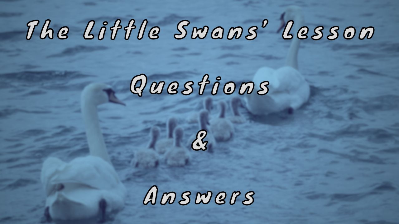 The Little Swans’ Lesson Questions & Answers