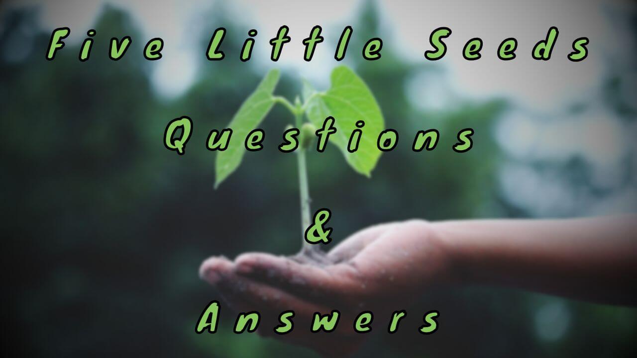 Five Little Seeds Questions & Answers
