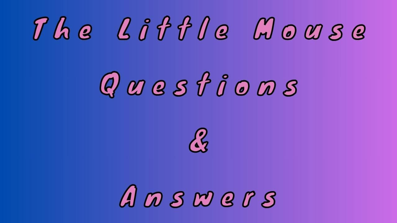 The Little Mouse Questions & Answers