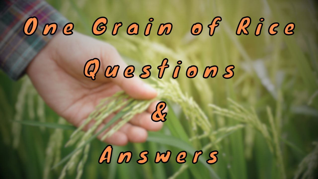 One Grain of Rice Questions & Answers