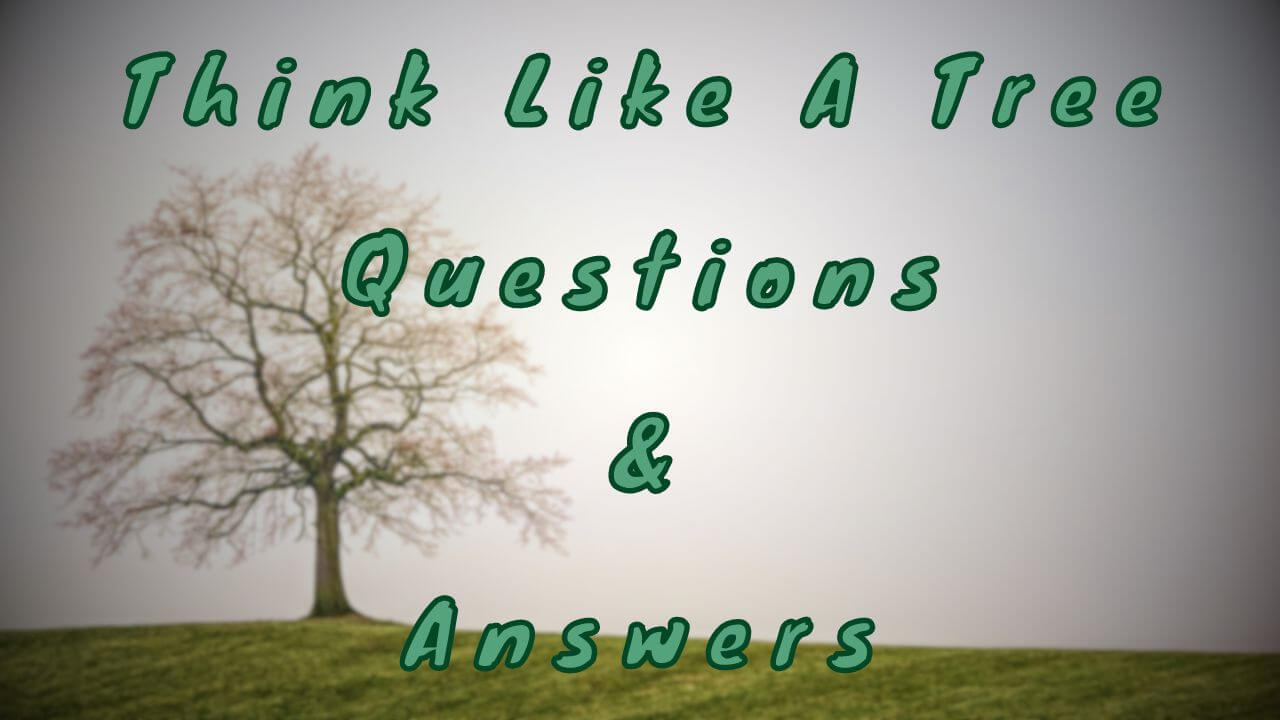 Think Like A Tree Questions & Answers