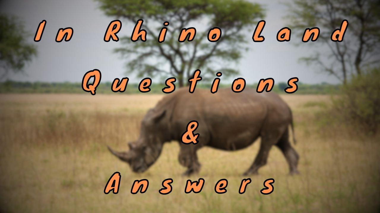 In Rhino Land Questions & Answers