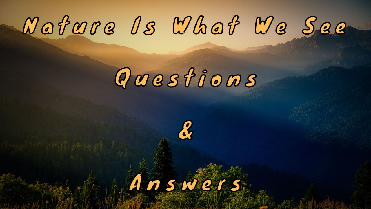 Nature Is What We See Questions & Answers