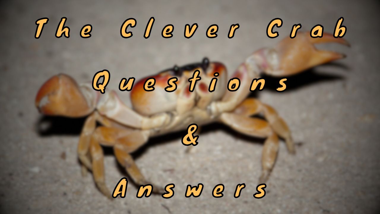 The Clever Crab Questions & Answers