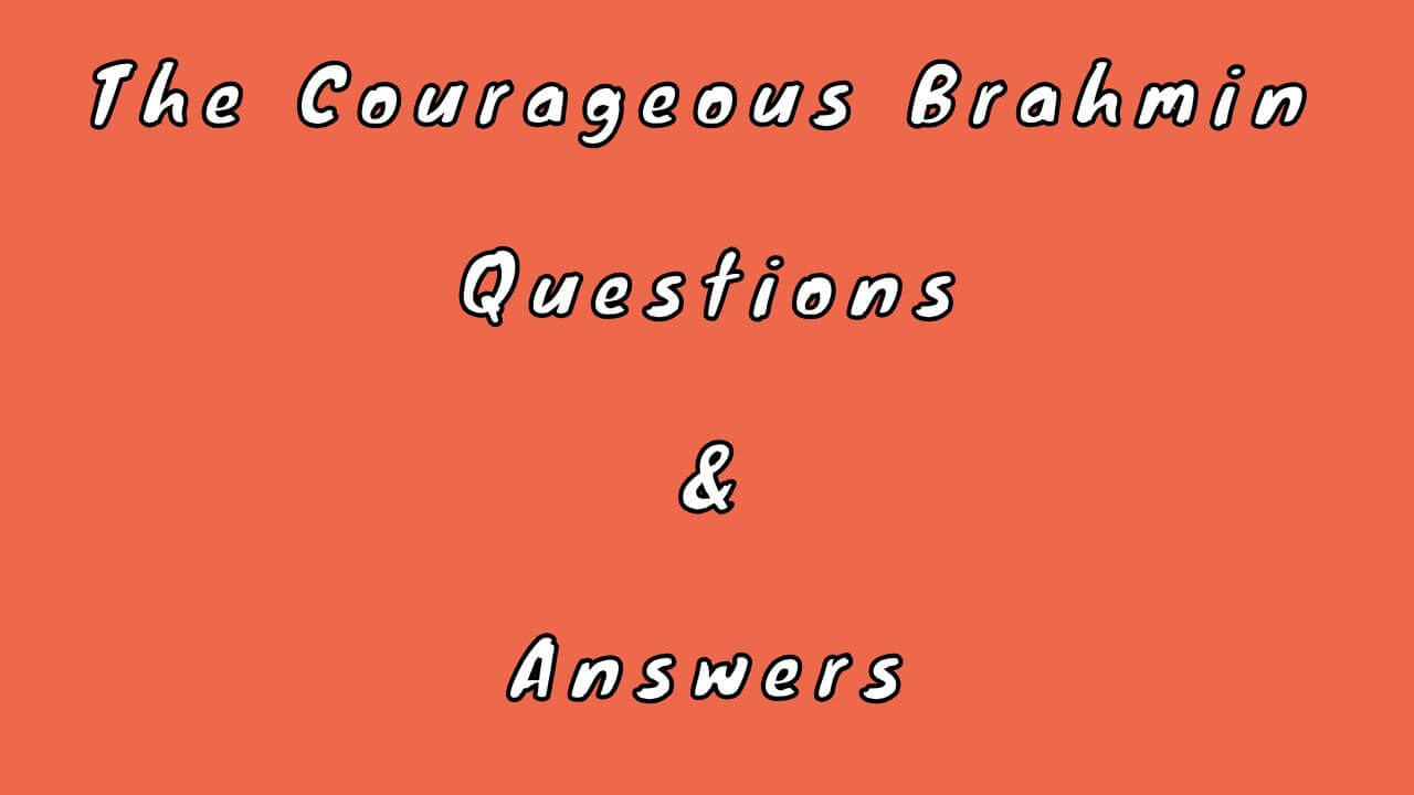 The Courageous Brahmin Questions & Answers