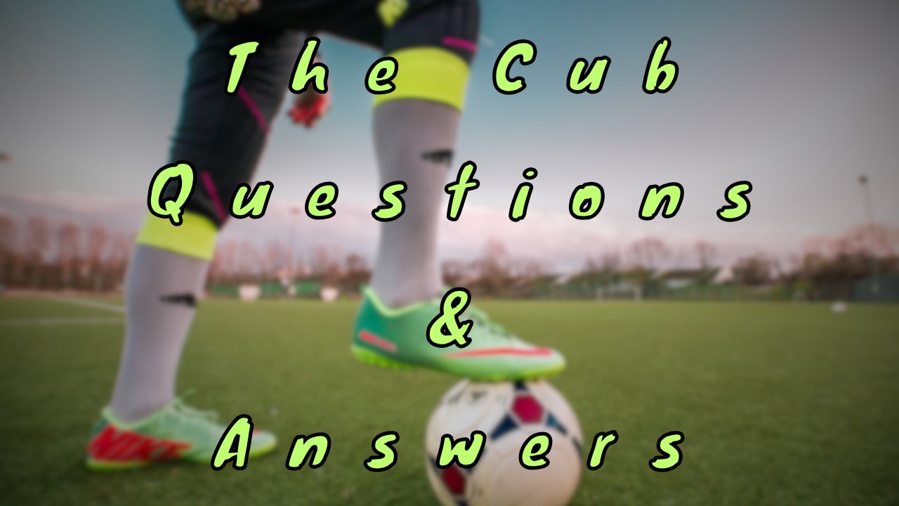 The Cub Questions & Answers