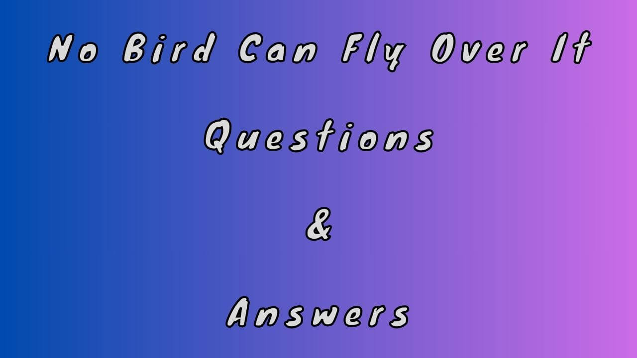 No Bird Can Fly Over It Questions & Answers