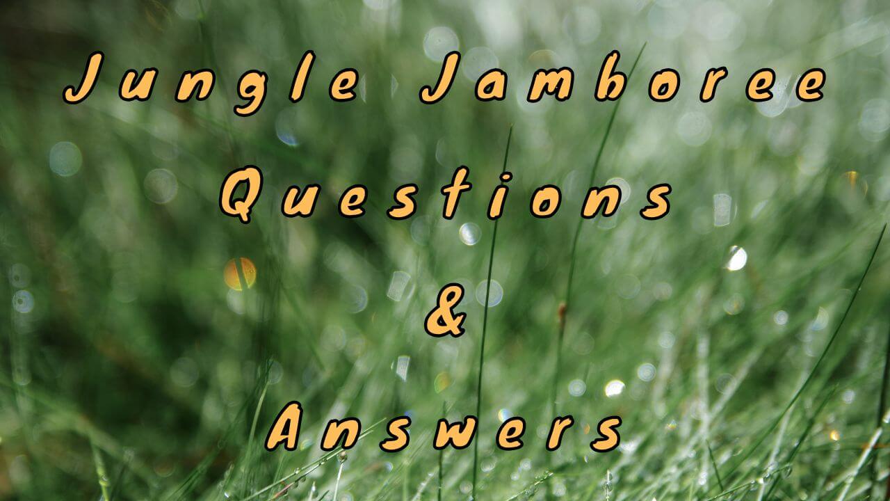 Jungle Jamboree Questions & Answers