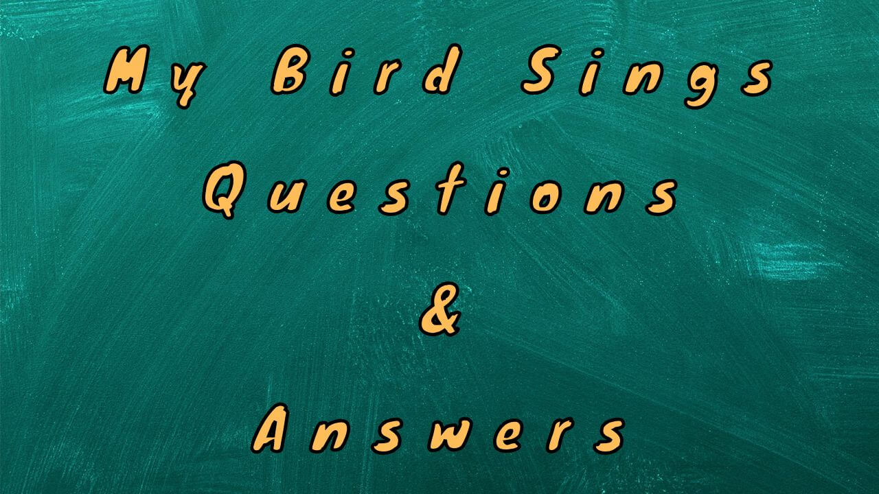My Bird Sings Questions & Answers