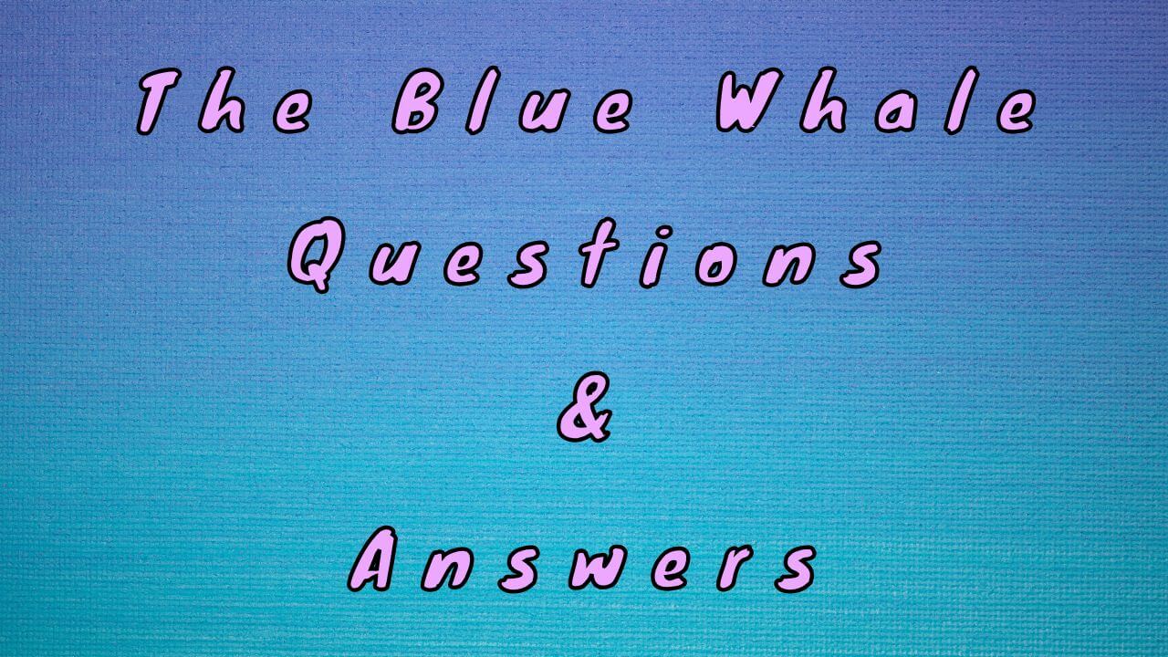The Blue Whale Questions & Answers
