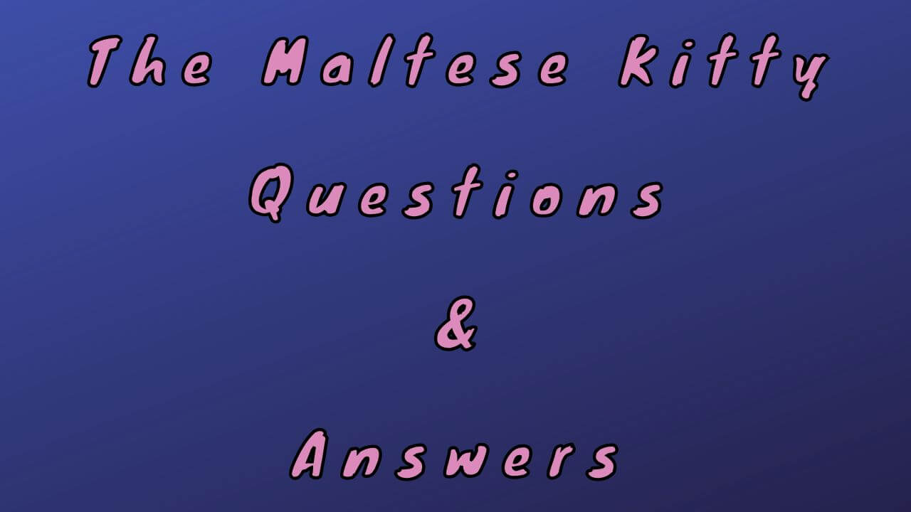 The Maltese Kitty Questions & Answers