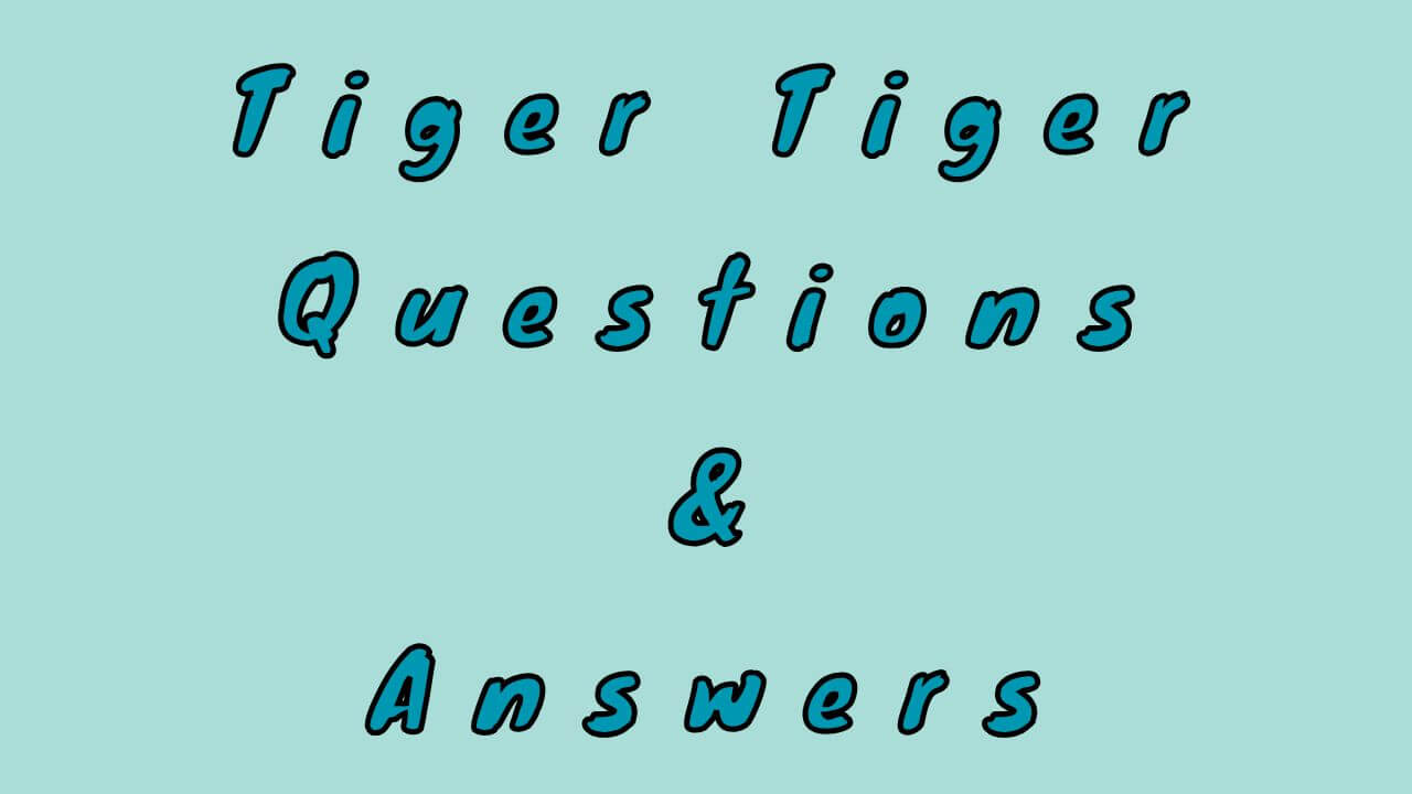 Tiger Tiger Questions & Answers
