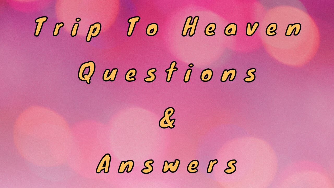 Trip To Heaven Questions & Answers