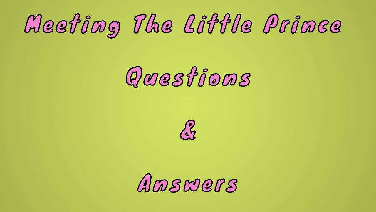 Meeting The Little Prince Questions & Answers