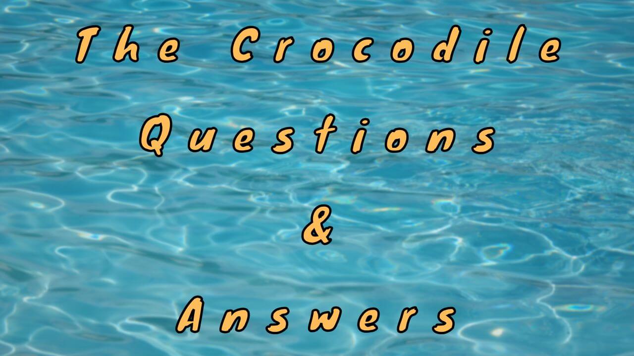 The Crocodile Questions & Answers
