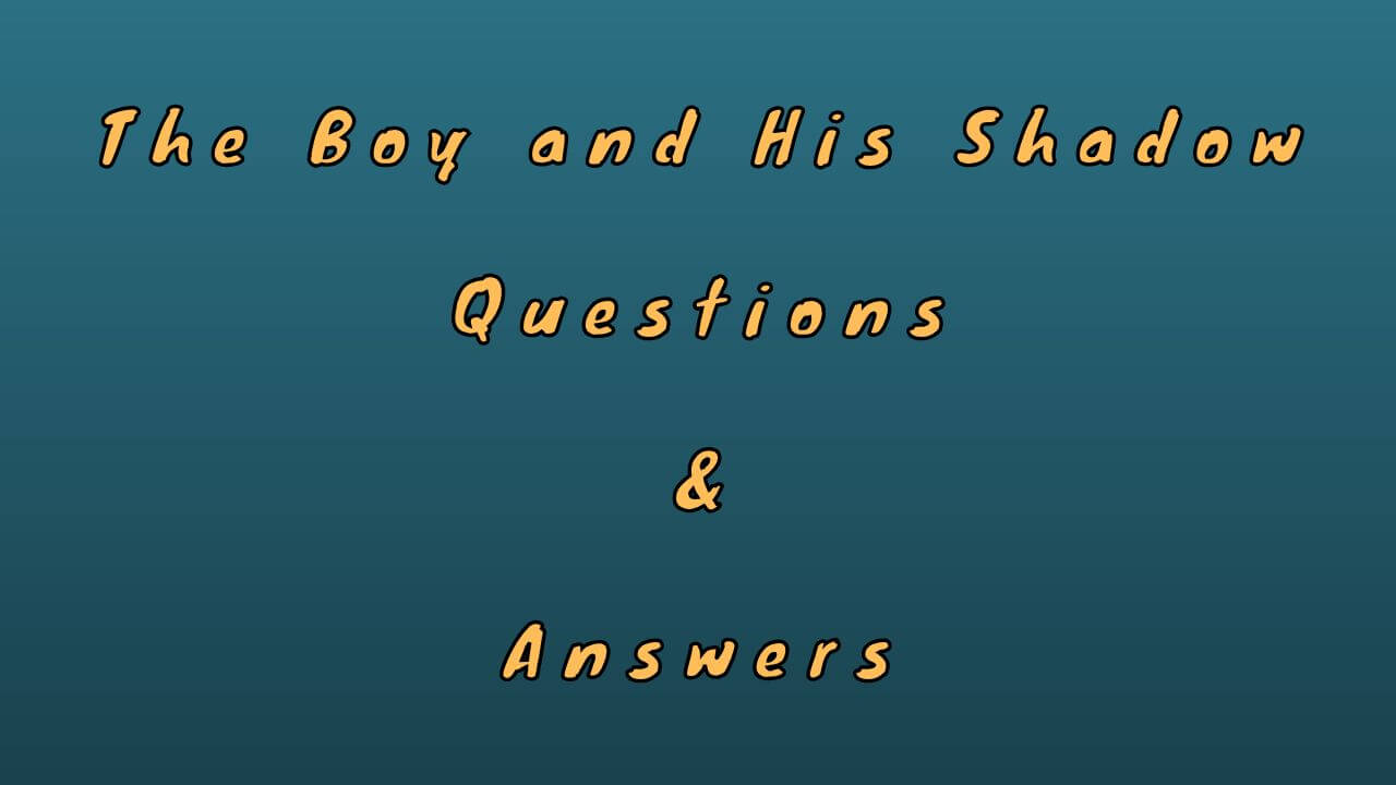 The Boy and His Shadow Questions & Answers